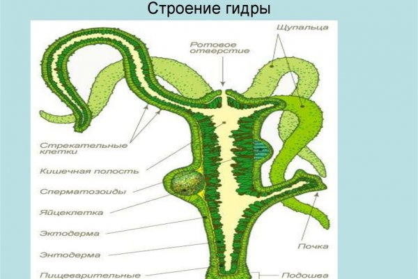 Кракен тор это